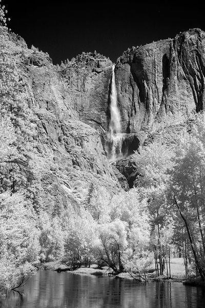 Jones, Adam 아티스트의 Infrared of Yosemite Falls-Yosemite National Park-California작품입니다.